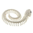 thumbnail image 4 of simhoa Squelette de Serpent Ornement d'Halloween Décoration Festive en PVC, 4 of 8