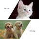 thumbnail image 2 of Gato Puppy Alimentación juguete lento alimento dispensador rotado molino de viento fugas de fugas de viento, 2 of 7