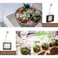 thumbnail image 5 of Wooden Rack Hydroponic Ornaments Vase Minimalist Home Decor Glass House Plants Indoors Live, 5 of 6