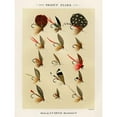 thumbnail image 2 of Marbury, Mary Orvis 12x14 Black Modern Framed Museum Art Print Titled - Trout Fishing Flies III from Favorite Flies and Their Histories, 2 of 4