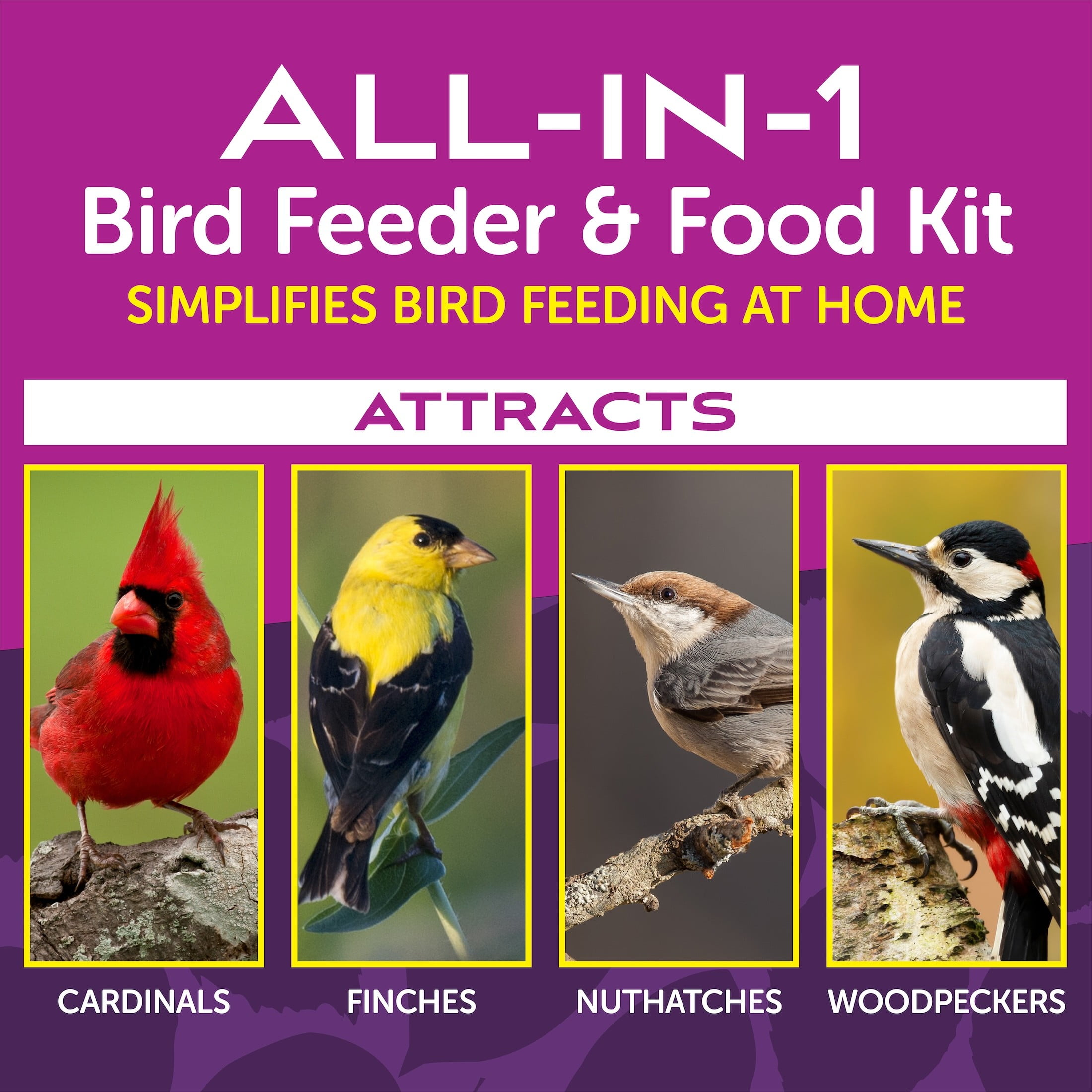 Pennington Coach Light 4lb Capacity / 2.5lb Bird Seed All In One Kit 1 Each