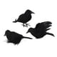 thumbnail image 4 of Cuervos de Halloween Macarena Cuervos decorativos con plumas negras Estilo C, 4 of 8