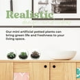 thumbnail image 5 of 3pcs artificial succulent glass potted plants creative small ornaments simulation plant bonsai, 5 of 5