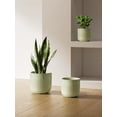 thumbnail image 6 of BEMAY Set of 3 Ceramic Plant Pots, 5.7" & 6.9"& 8.3" Indoor Plant Pots with Drainage Holes, Mesh Pads and Silicone Plugs, Sage Green Indoor Planters, 6 of 7