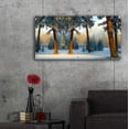 thumbnail image 5 of Epic Art 'Nature Collection 23' by Ata Alishahi, Acrylic Glass Wall Art, 48"x24", 5 of 8