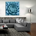 thumbnail image 5 of Epic Art 'Silvery Blue Agave' by Jan Bell Acrylic Glass Wall Art, 36"x36", 5 of 8
