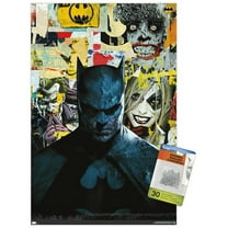DC Comics Batman - Pictures Wall Poster with Pushpins, 14.725" x 22.375"