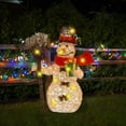QNFEPKG 2D Acrylic Christmas Light Big Rooster Garden Chicken