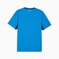 thumbnail image 2 of Puma Iceland Home Men's Stadium Soccer Jersey 26, 2 of 2
