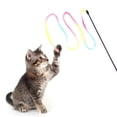 thumbnail image 2 of Cat Chaser Toy,Funny Cat Kitten Pet Interactive Toy Teaser Toy Reliable and Durable, 2 of 9