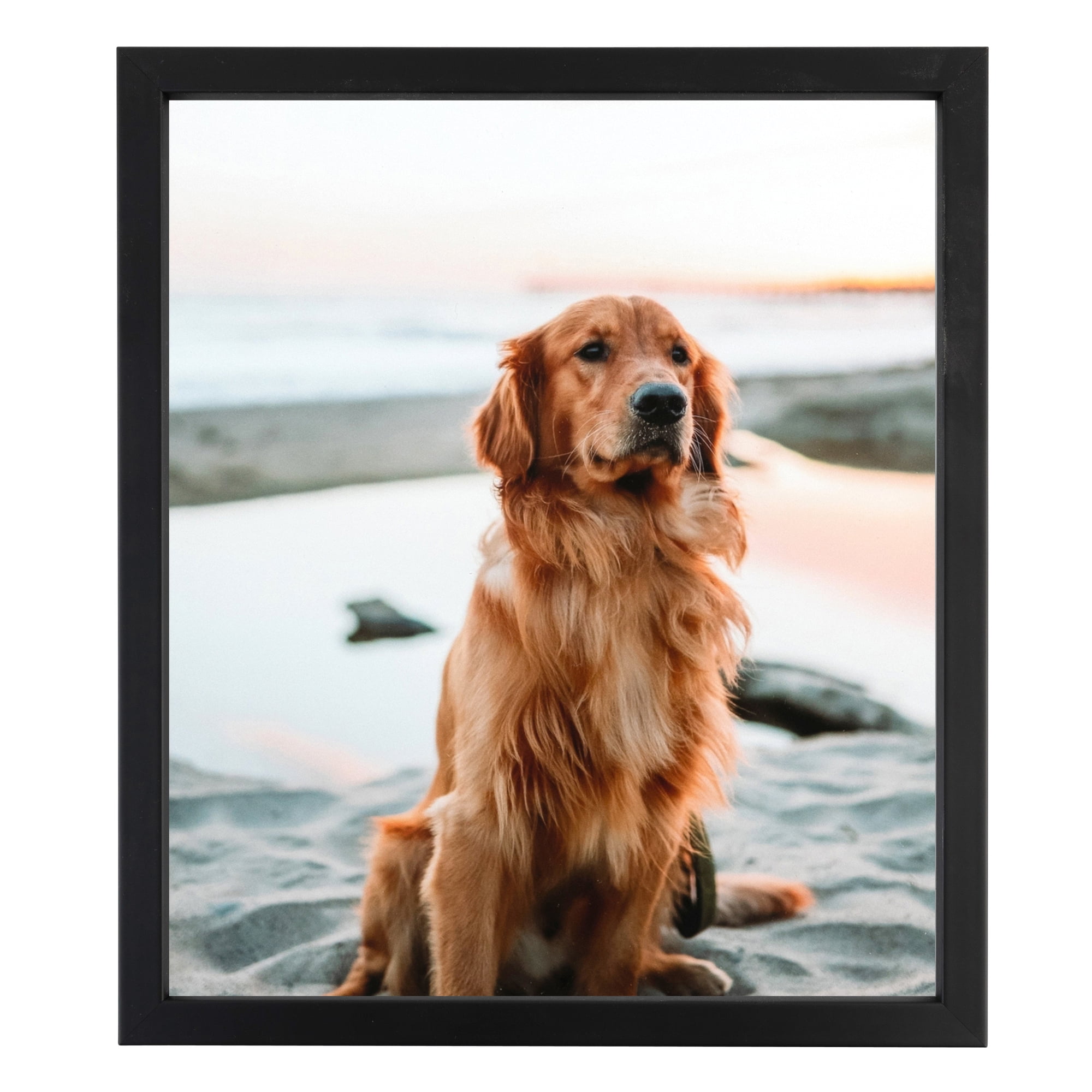ArtToFrames 18" x 24" Satin Black Short Picture Frame, 18x24 inch Black Wood Poster Frame (WOM-1416)