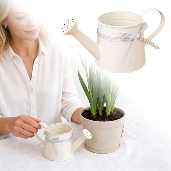 Watering Can for Indoor Plants, 35 oz/1000 ml Metal Stainless Steel Pot with Long Spout for House Bonsai Outdoor Garden Flower Decorative,White