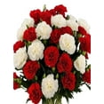 thumbnail image 3 of KaBloom :Bouquet of 12 Red and White Carnation vase Next-Day Delivery, Gift for Every Occasion., 3 of 5