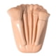 thumbnail image 4 of Juego de brochas de maquillaje de viaje ANGGREK Shell Portátil 5 Tamaños, 4 of 7