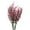 Light Pink, variant on Artificial Flowers for Outdoors 12 Bundles Artificial Lavender Flowers Plants with 7 Flexible Stems 14inch UV Resistant Faux Outdoor Plastic Plants (Purple)