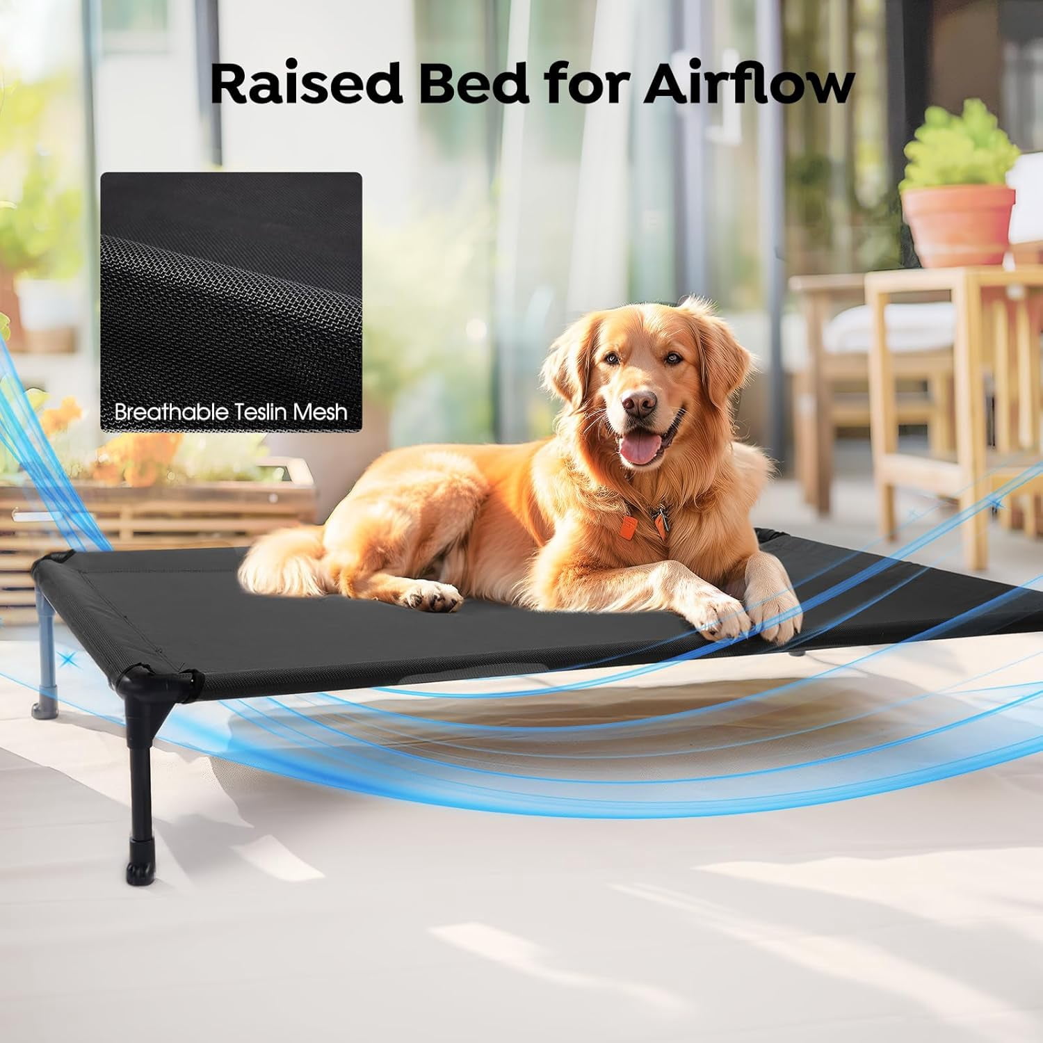 Elevated Dog Bed Add Removable Waterproof Bolster Cushion Mat, Raised Pet Cot with Breathable Teslin Mesh, No-Slip Feet, Dog Sofa Bed for Indoor Outdoor, Medium, Black CWC2331B