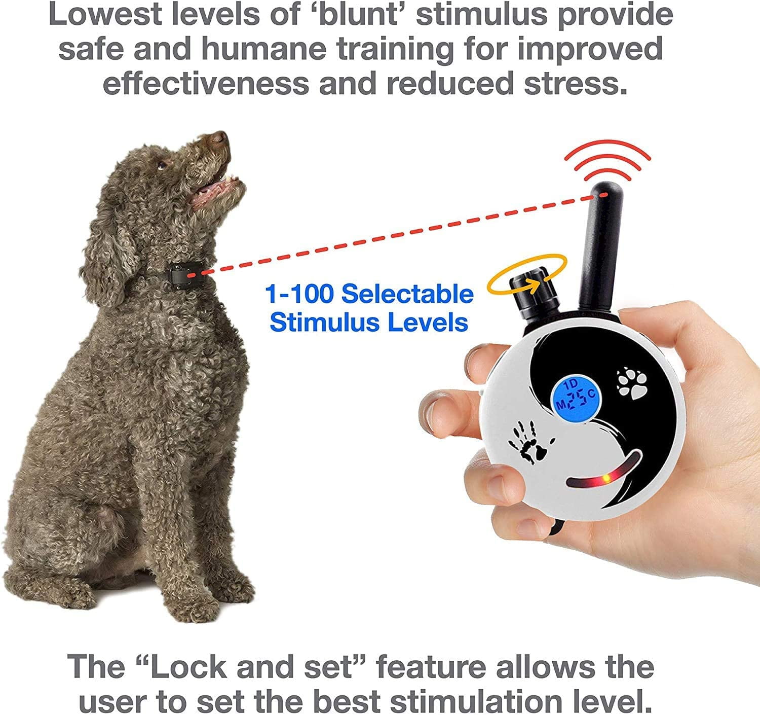 Mini Educator E Collar ET 300 ET 302 Dog Training Collar System
