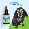 thumbnail image 6 of Pet Wellbeing Natural Immune System Support for Old Dogs - Old Friend 2oz (59ml), 6 of 9