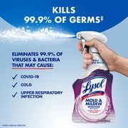 Lysol Mold and Mildew Foamer Cleaner with Bleach, Stain Remover, 32 fl oz