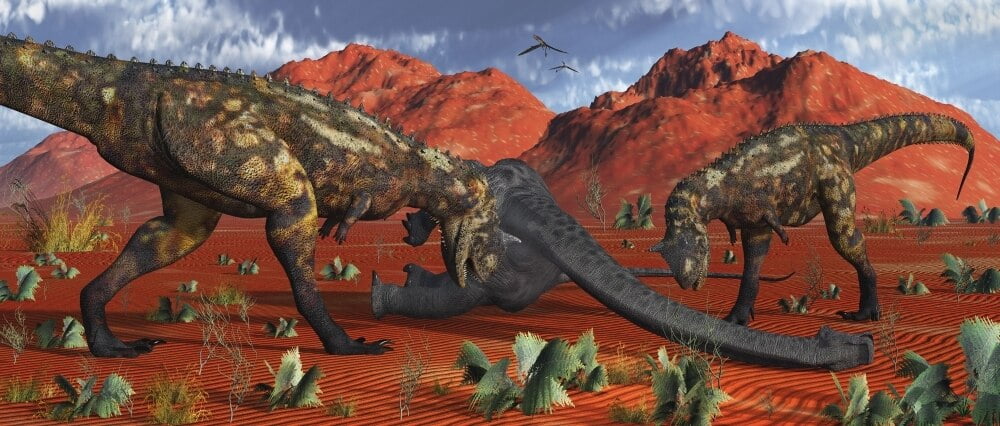 A pair of carnivorous Carnotaurus dinosaurs about to devour the remains of a dead sauropod
