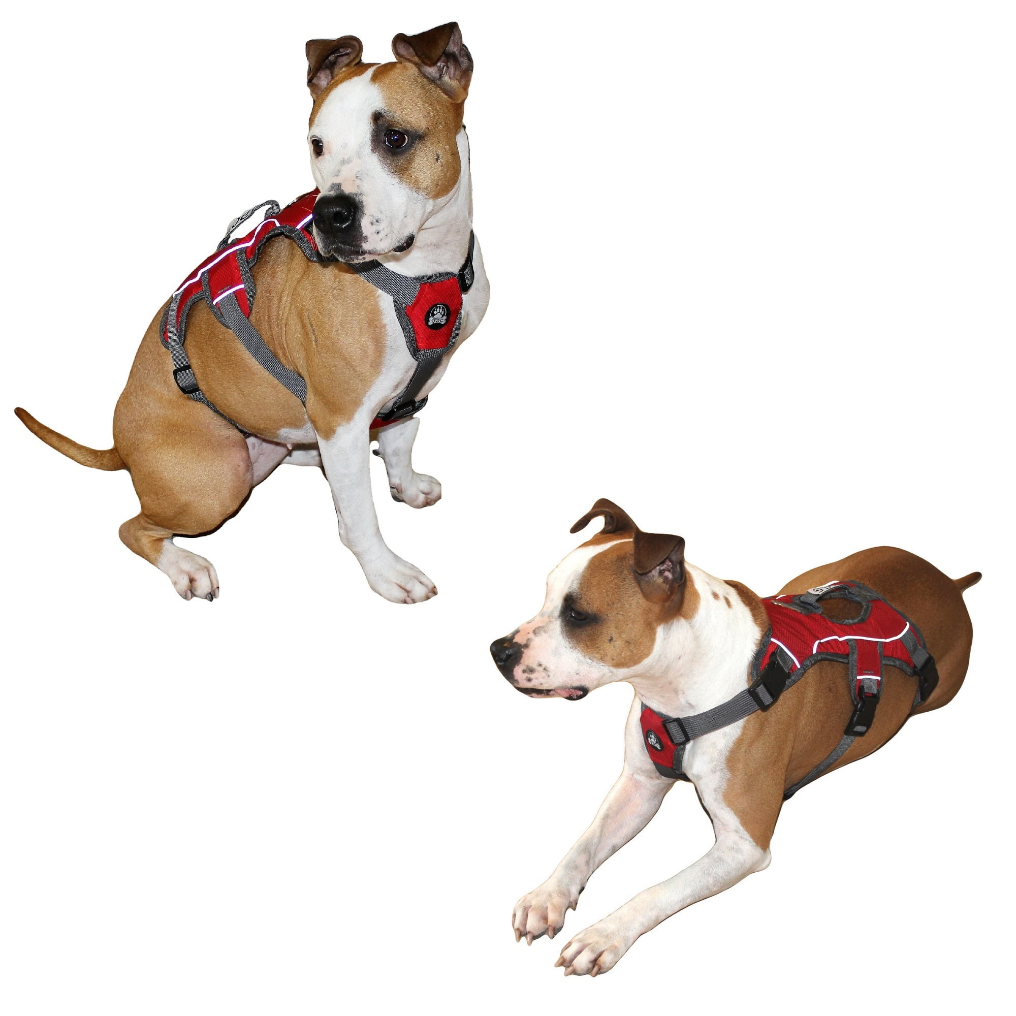 Heavy Duty Padded No-Pull Reflective Dog Harness Vest with Handle Medium to Large Dogs (X-Large: Chest 28" - 36", Red)