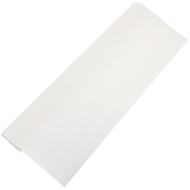 Tapis pour Reptiles Tapis de Substrat pour Reptiles Terrarium pour Reptiles Accessoires pour Aquarium de Dragon Barbu