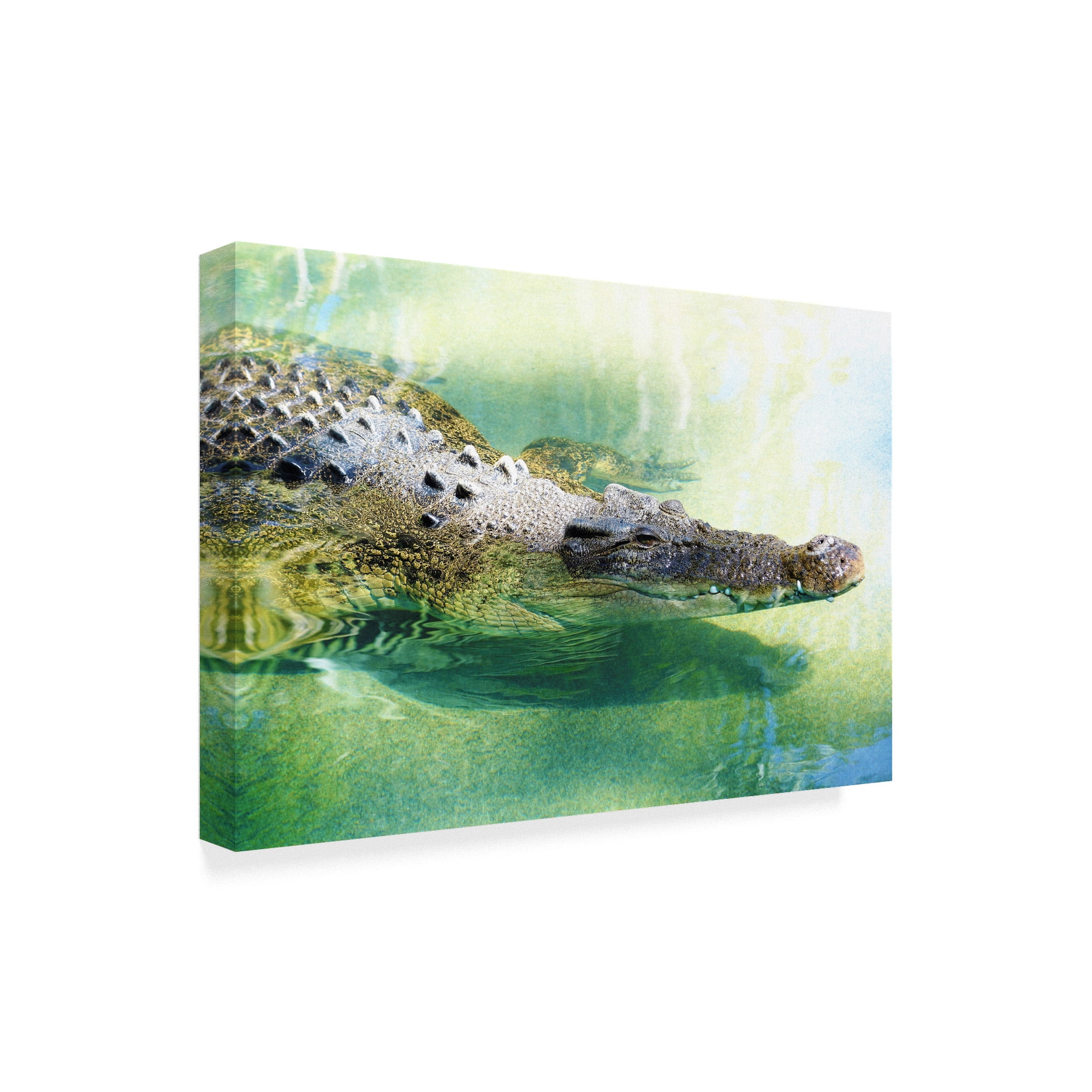 Trademark Fine Art 'Alligator In Water' Canvas Art by Incredi