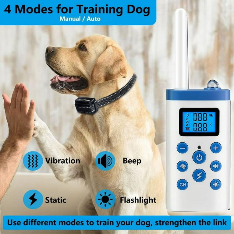 Mini educator 2 dog cheap mode