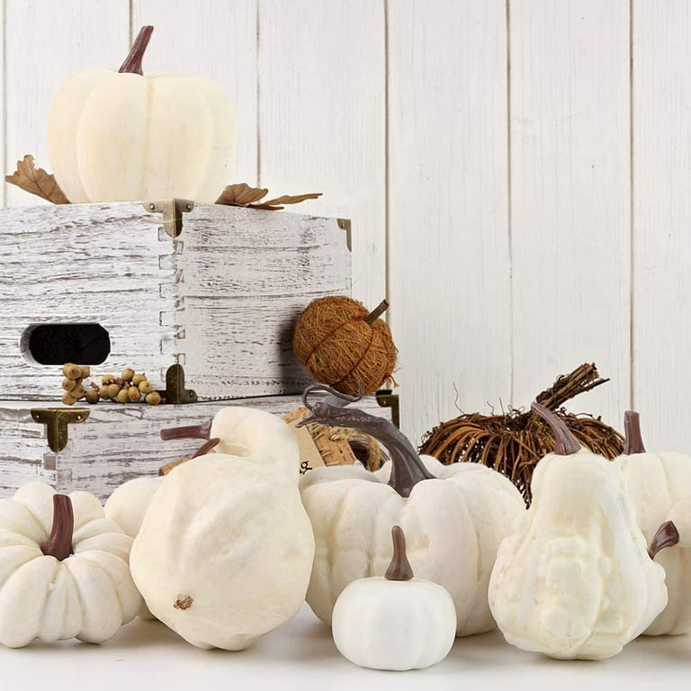 12+ Craft Pumpkins White RuairiDougray