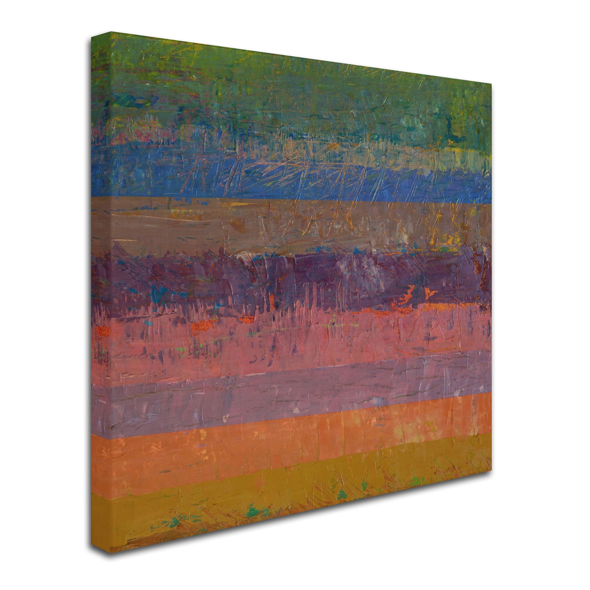 Trademark Fine Art "Pink Line" Canvas Art by Michelle Calkins