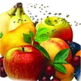thumbnail image 2 of TERRO Fruit Fly Trap, 2 of 2