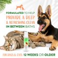 thumbnail image 4 of Champú sin agua para perros TropicLean Papaya Coconut 220 ml, 4 of 8