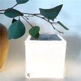 thumbnail image 1 of HomeRoots 476621 4 in. Modern Square Portable & Hangable Solar Lantern, 1 of 1