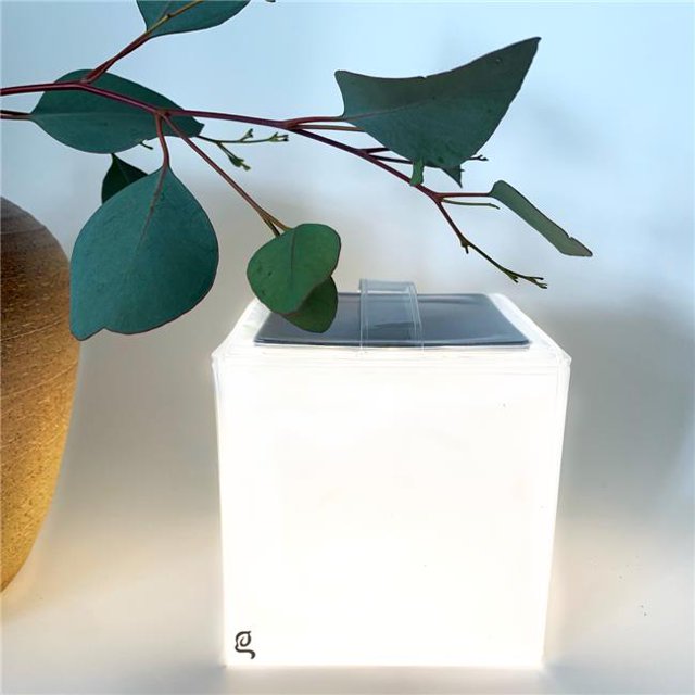 HomeRoots 476621 4 in. Modern Square Portable & Hangable Solar Lantern