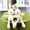 Beige, variant on Happy Date 2Pcs Plush Toy Super Soft Wear Resistant PP Cotton Baby Girl Appease Bunny Doll Baby Toy for Home