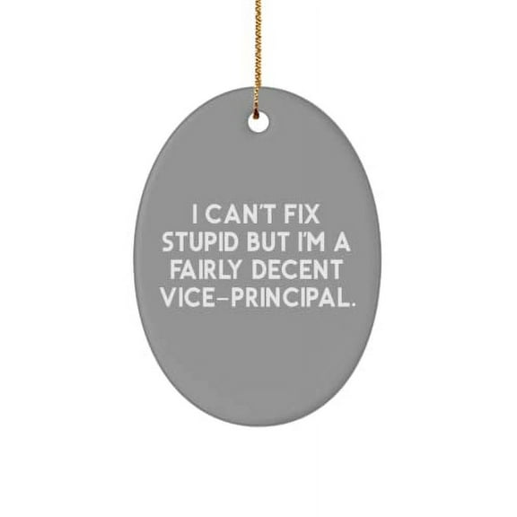 Vice-Principal Gifts for Coworkers, I Can't Fix Stupid but I'm a Fairly Decent Vice., Brilliant Vice-Principal Oval Ornament, from Boss
