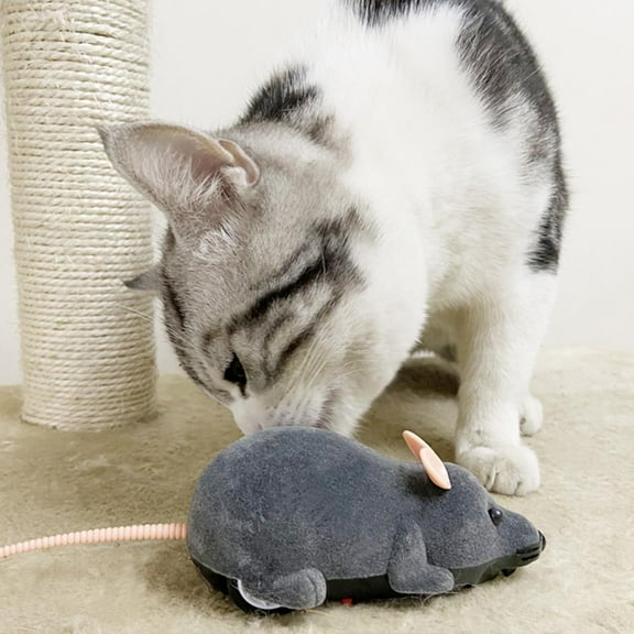 Clerance! PawCasa Funny Remote Control RC Rat Mouse MICE Wireless For Cat Pet 2022 Dog Toys