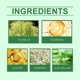 thumbnail image 5 of Nourishing Nail Care Pen Gentle Repair Hand and Foot Nails, Softening Nail and Polishing Nail, 5 of 5