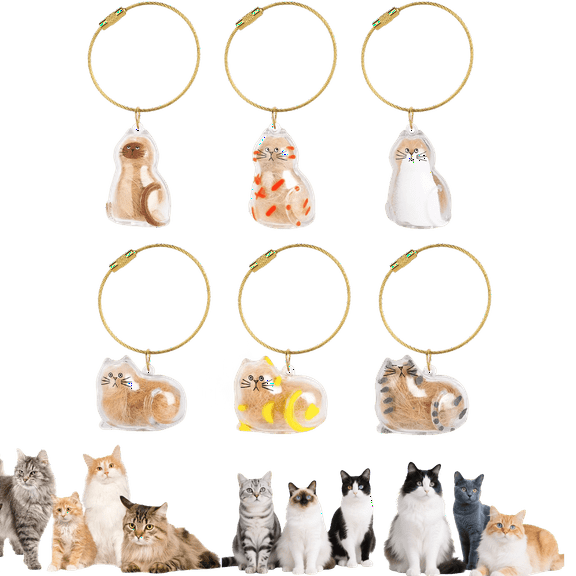 CHICHAUS Cat Hair Holder Keychain |  Hair Storage Bottle | Pet Fur Keepsake-Hold  Fur & Keys in 6 Heart-Touching Styles, Always Keep Your Beloved Cat Close, Engravable Pet Memorial Gift for Owners
