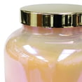 thumbnail image 2 of Hometrends 16oz African Mango & Rooibos Fragranced Candle, 2 of 4