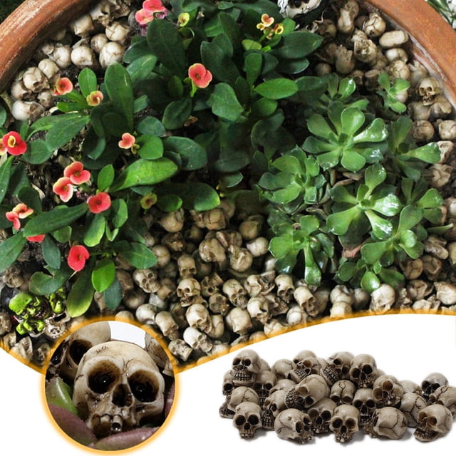 Xihbxyly Mini Calavera Decorativa, de Resina, Diseño Realista, Ideal para Fiestas de Halloween, Ambientación de Casa Embrujada, Juego de 40 Piezas, Ideal para Decorar El Hogar y La Mesa.