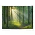 thumbnail image 5 of GOSMITH  Forest Tapestry Wall Hanging Aesthetic For Bedroom Living Room Dorm, 5 of 7