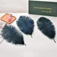 thumbnail image 4 of Craft Feathers Ballinger, avestruz azul marino, 25-30 cm, 24 unidades, 4 of 7