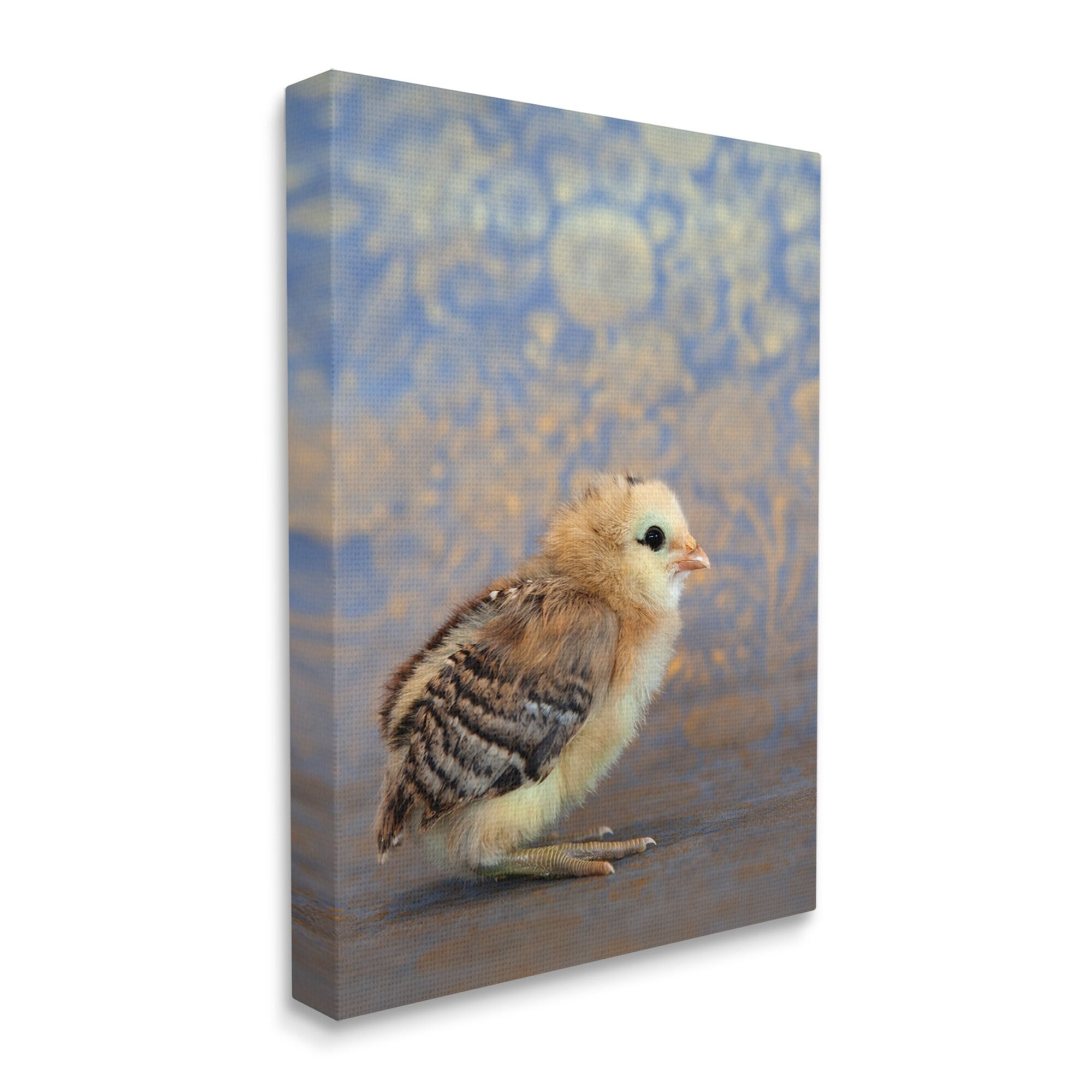 Stupell Industries Tiny Baby Bird Chick Patterned Botanical Backdrop Photograph Gallery Wrapped Canvas Print Wall Art, Design by Tania Soderman