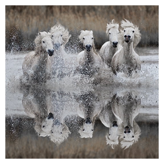 Masterpiece Art Gallery Camargue Horse Reflection by A. Jones Canvas Photo Art Print 30" x 30"