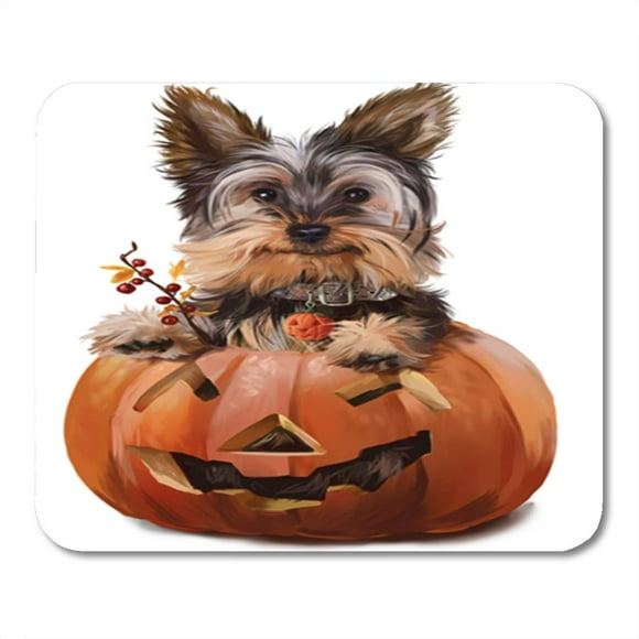 NUDECOR Brown Yorkshire Terrier Orange Dog Cute Eared Mousepad Mouse Pad Mouse Mat 9x10 inch