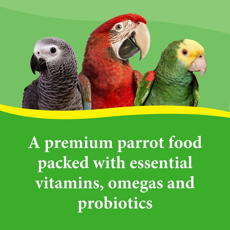 3 D Pet Products Premium Parrot Bird Food Seeds 8 lb. Bag