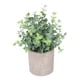thumbnail image 5 of Plantas de eucalipto en macetas falsas sin riego plantas en macetas artificiales paquete de 3 hermosas para jardín ANGGREK Otros, 5 of 7