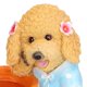 thumbnail image 4 of Animal Vase Decoration Resin Hand Painted Simulation Dog Flowerpot Ornament for GardenYellow, 4 of 5
