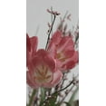 thumbnail image 2 of Phillip, Jamie 18x32 Gold Ornate Wood Framed with Double Matting Museum Art Print Titled - Planet tulip, 2 of 4